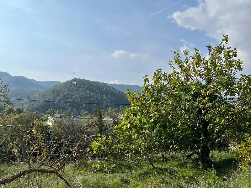Terrain, 1 143 m²