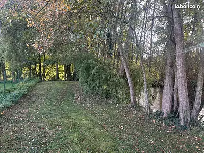 Terrain