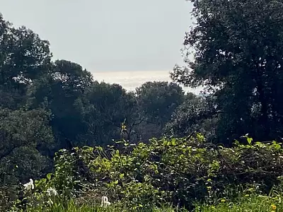 Terrain, 1 148 m²