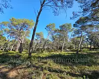 Terrain, 14 830 m²