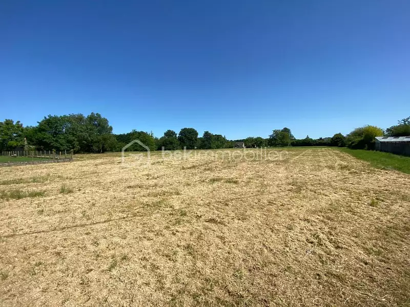 Terrain, 7 483 m²