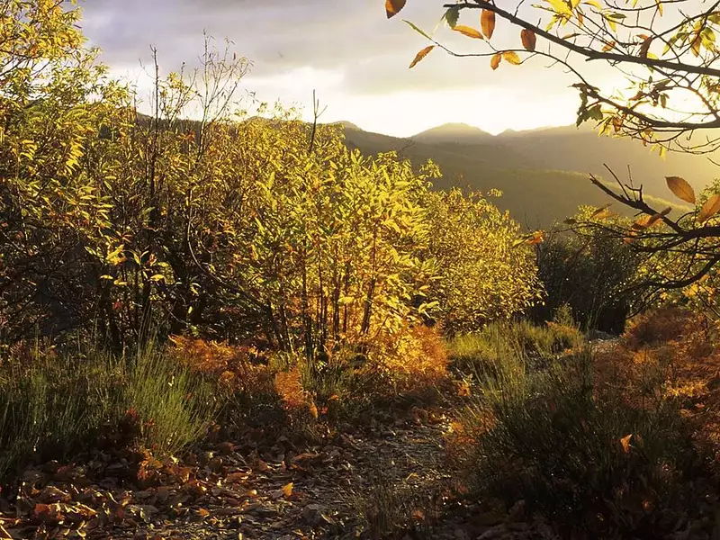 Terrain, 150 000 m²