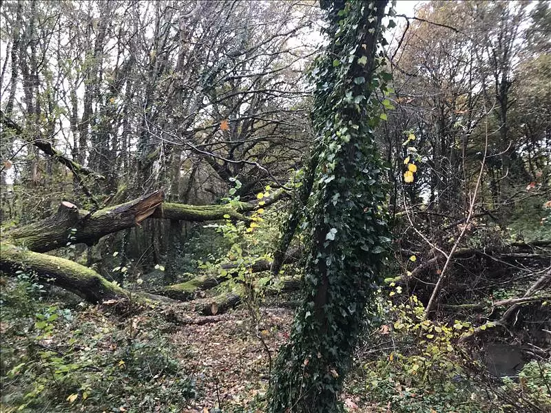 Terrain, 6 513 m²