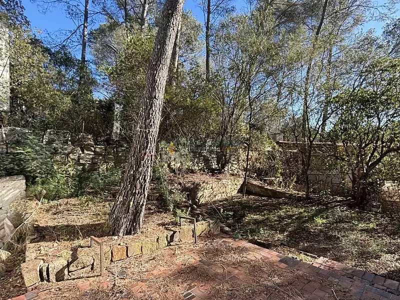 Terrain, 205 m²