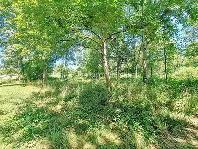 Terrain, 2 591 m²