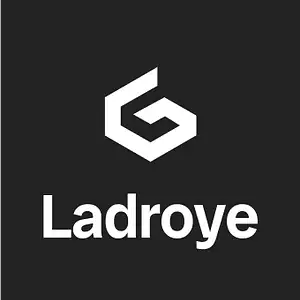 LADROYE IMMOBILIER  