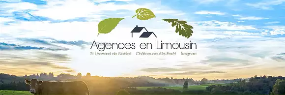 SAINT LEONARD IMMOBILIER