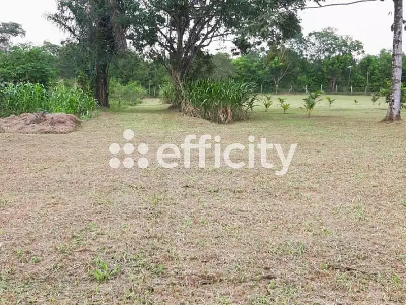 Terrain, 12 836 m²