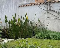 Maison, 205 m²