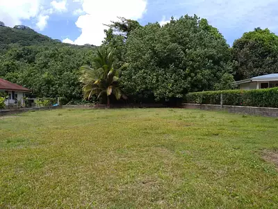Terrain