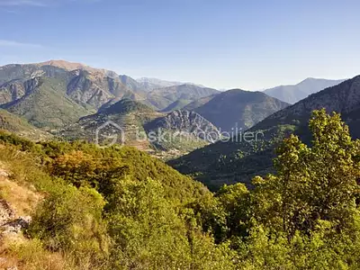 Terrain, 100 435 m²