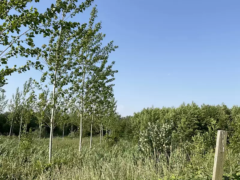 Terrain, 2 600 m²