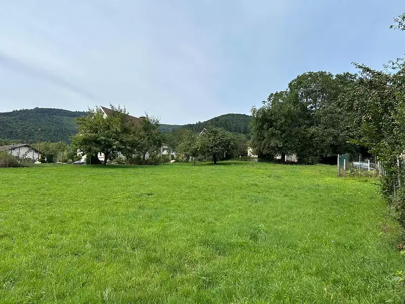 Terrain, 752 m²
