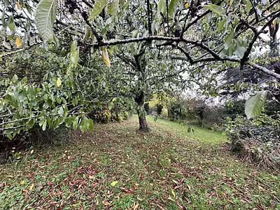 Terrain, 762 m²