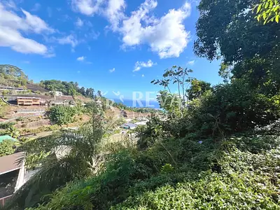 Terrain, 814 m²