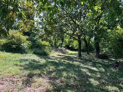 Terrain, 1 650 m²