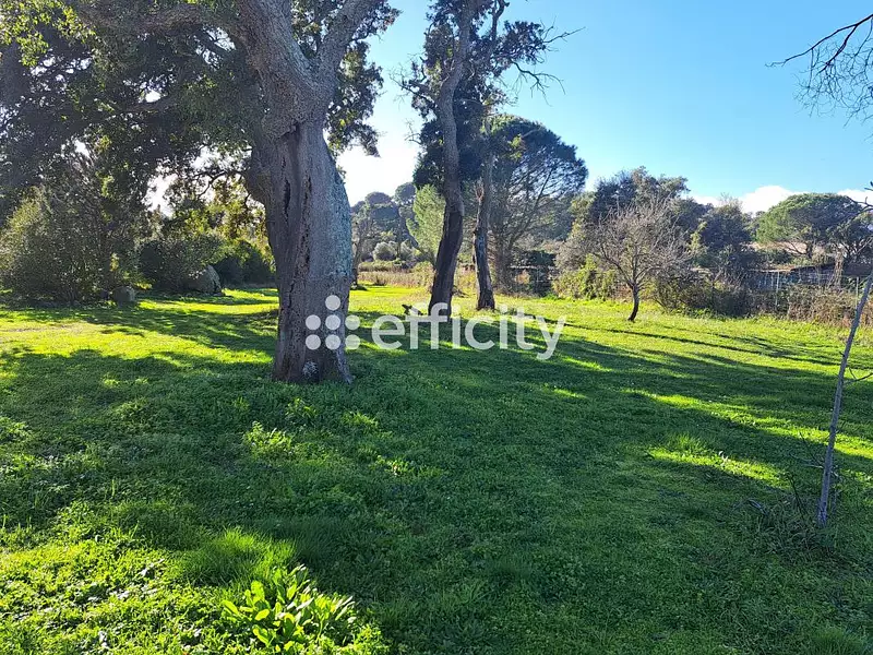 Terrain, 4 023 m²