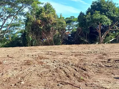 Terrain, 5 000 m²