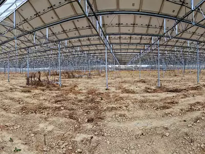 Terrain, 120 000 m²