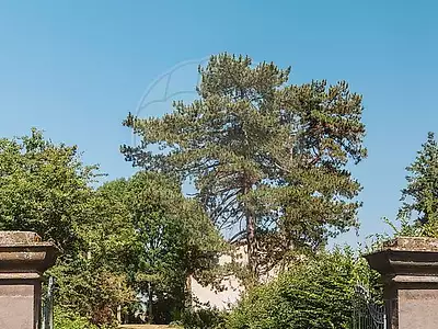 Maison, 300 m²
