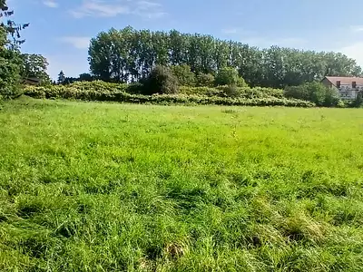 Terrain, 8 589 m²