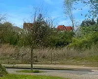 Terrain, 600 m²