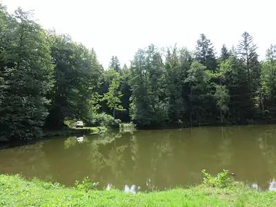 Terrain, 4 560 m²