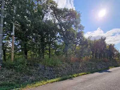 Terrain, 1 157 m²