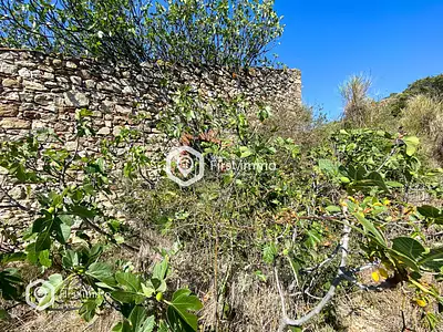 Terrain, 1 319 m²