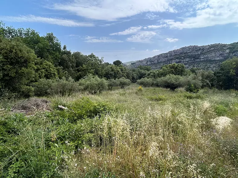 Terrain, 2 000 m²