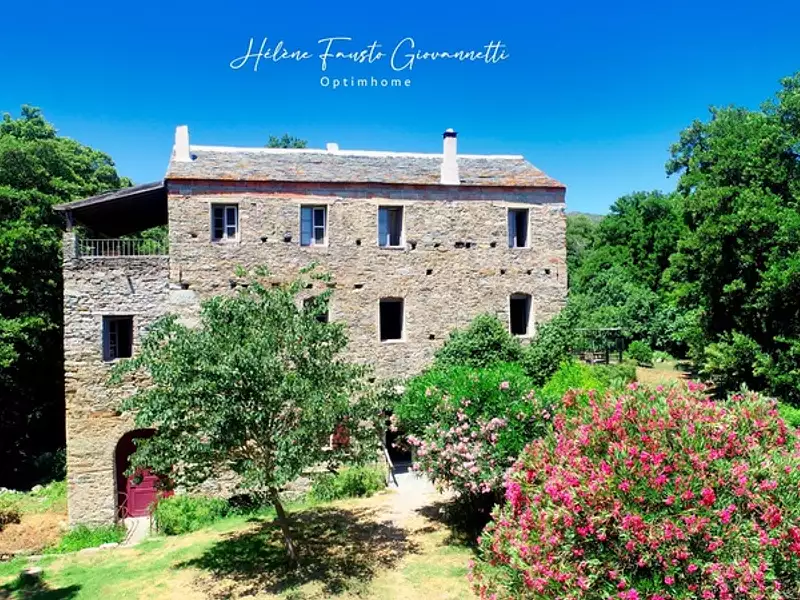 Maison, 235 m²