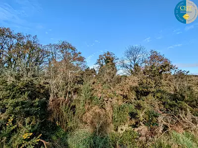 Terrain, 1 716 m²