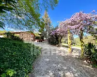Maison, 275 m²