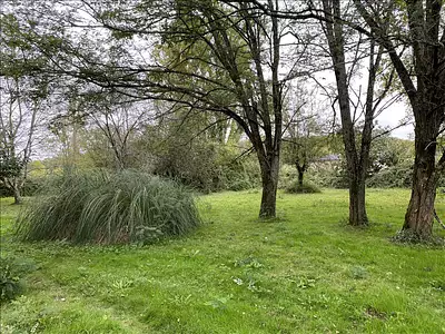 Maison, 50 m²