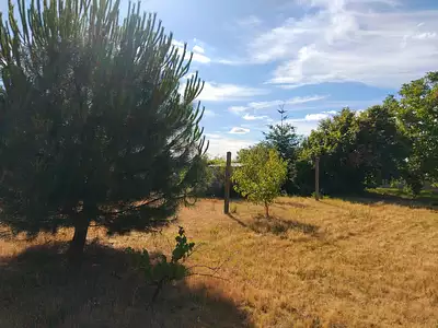 Terrain, 990 m²
