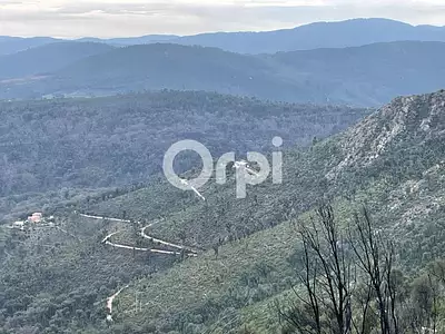 Terrain, 120 000 m²