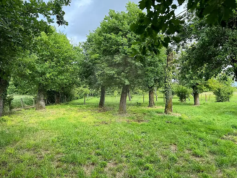 Terrain, 400 m²