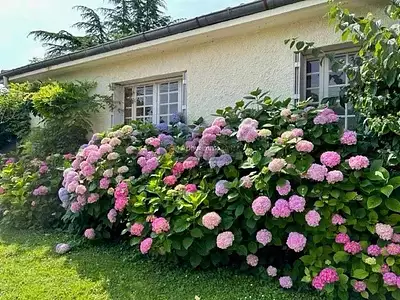 Maison, 137 m²