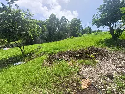 Terrain, 1 000 m²