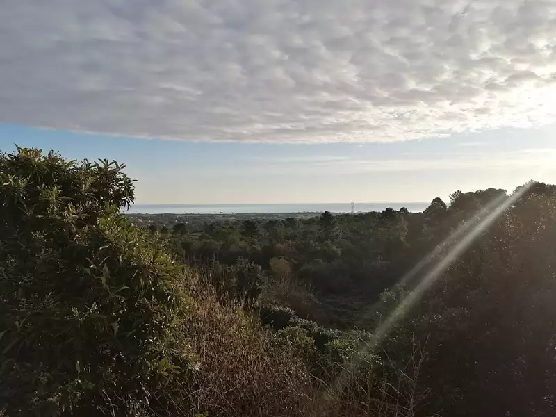 Terrain, 850 m²
