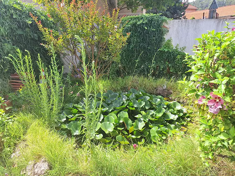 Maison, 95 m²