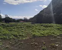 Terrain, 3 000 m²