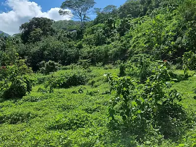 Terrain, 895 m²