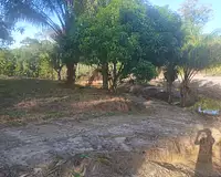 Terrain, 10 004 m²