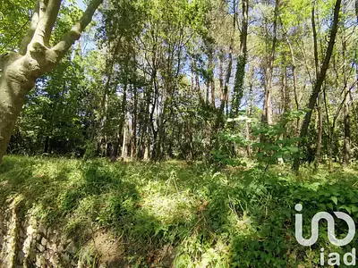 Terrain, 5 620 m²