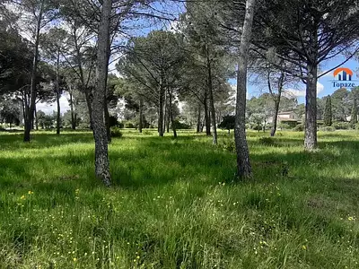 Terrain, 5 558 m²
