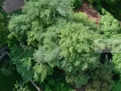 Maison, 68 m²