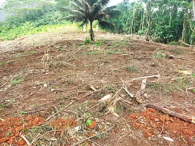 Terrain, 3 500 m²