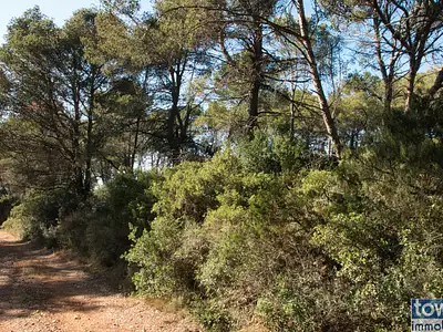 Terrain, 42 302 m²
