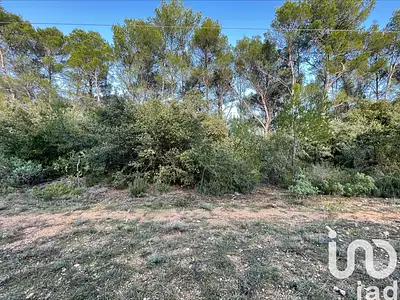 Terrain, 10 302 m²
